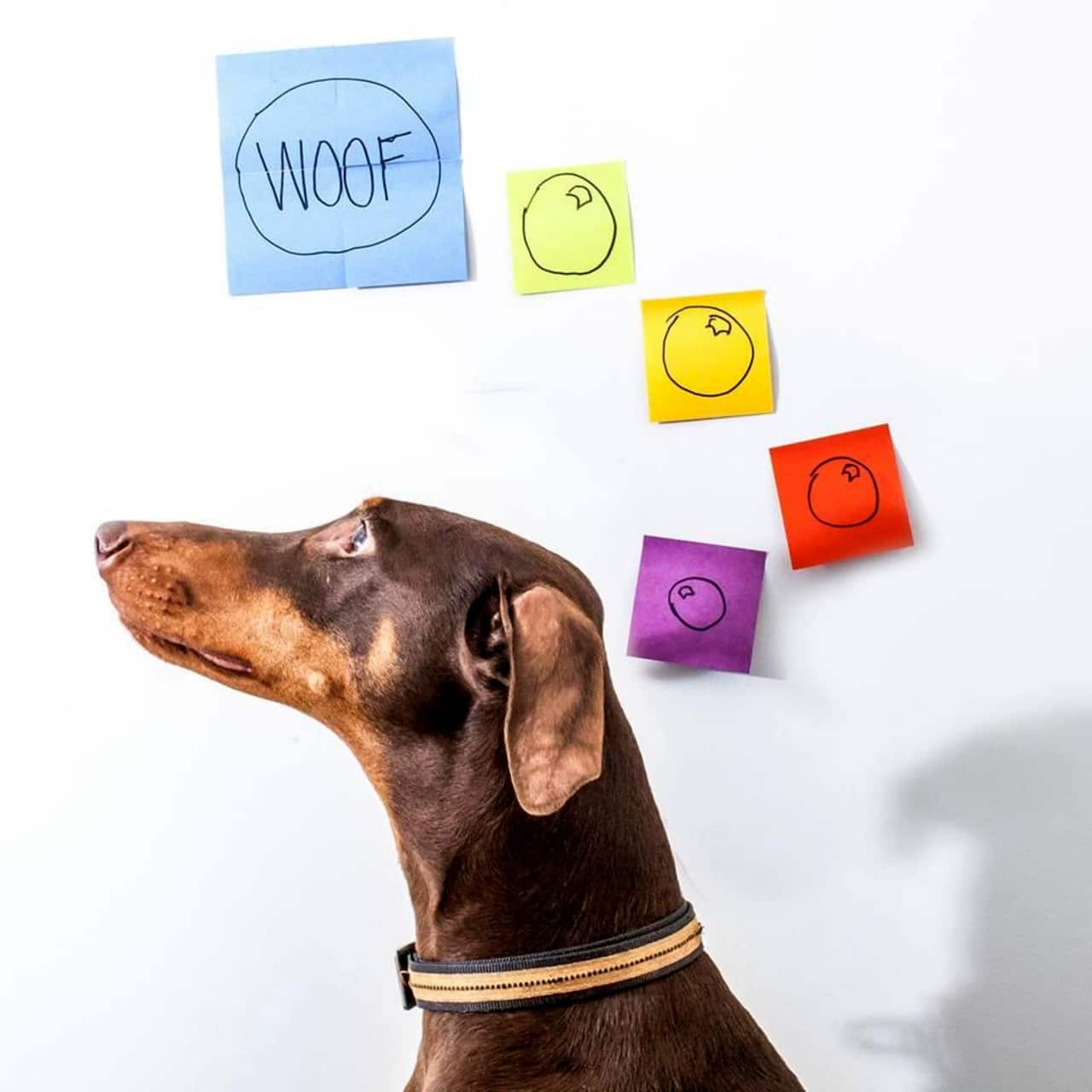 Post-it® 3" x 3" Super Sticky Notes, 5 Pack